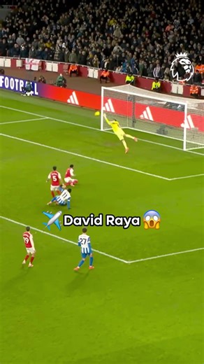 How did David Raya keep that out? 🤯 #arsenal #premierleague | david raya saves