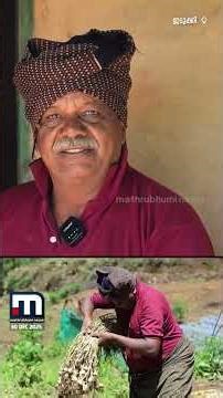 സ്ട്രോബെറി ഗന്ധമുള്ള കാറ്റ്...കണ്ണഞ്ചിപ്പിക്കുന്ന പച്ചപ്പ്.. മനസ്സിൽ കുളിരു പെയ്യുന്ന വട്ടവട കാഴ്ചകൾ