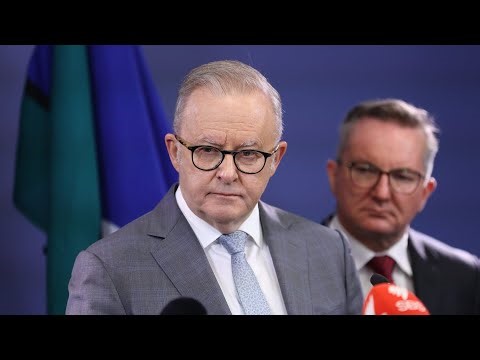 ‘Whose side is he on?’: Labor government criticised over handling of ISIS brides
