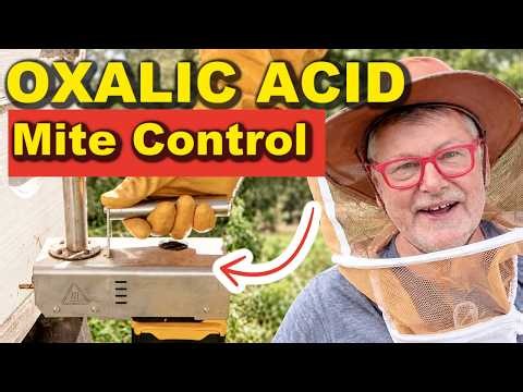 Beekeeping | KILL VARROA MITES! Here's How I Use Oxalic Acid