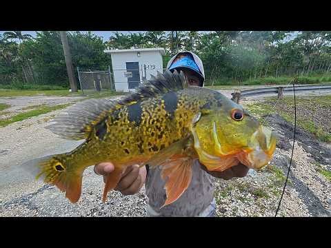 Fishing VS South Florida Weather!