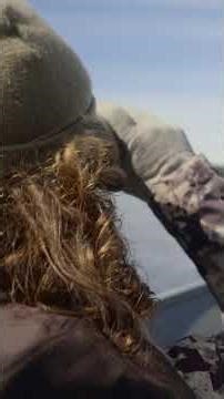 Bear gets up close with a humpback whale