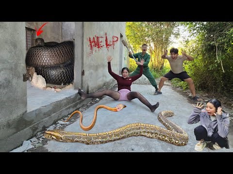 Brave Expert Rescues Young Girl from Anaconda in Abandoned House