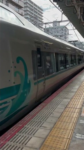特急くろしお60周年記念ラッピング列車 #鉄道 #特急くろしお #ラッピング列車 #jr西日本 #阪和線