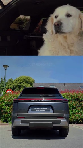 #eoutback #dogsofinstagram #roadtrip #ev #subarubenelux | Subaru BELUX N.V.