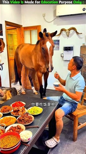 He won't eat the food😨| New Viral Gadgets,Smart Appliances, Kitchen Utensils/ Home Inventions