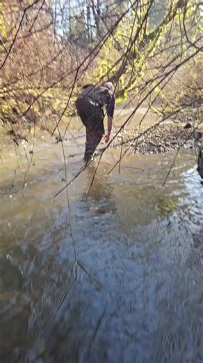 Hundreds of agates all over these gravel bars!! My friends and I went rockhounding after the floods that happened here in WA state and these gravel bars were just absolutely loaded! Every step I took I was finding something! Millions of years old and I'm the first to touch them! Please like, Share and comment. Thank you! #agate #rockhounding #carnelian #pnw #fyp
