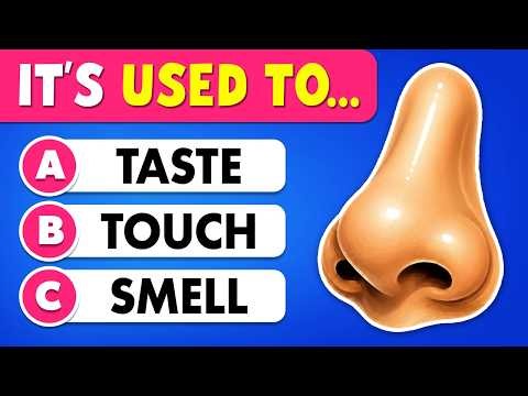 Can You Pass This General Knowledge Quiz? 👦🧠 50 Questions Everyone Should Know! 🙂