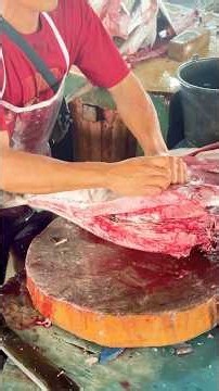 Tuna Skinning Skills #Shorts #Tuna #Seafood #FreshTuna