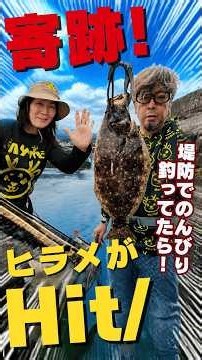 タモ網なし＆細糸でヒラメ降臨！衝撃の結末が… #釣り #ヒラメ #伊東港