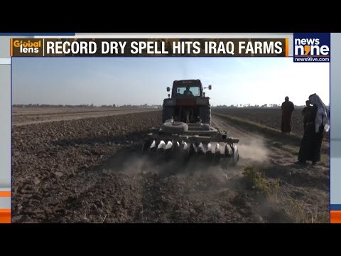 Severe Drought Pushes Iraq’s Wheat Production To Crisis Levels | News9