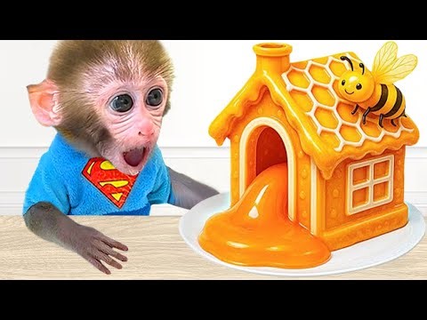 🐒🐶Monkey Baby Bon Bon with the Puppy Meet the Magical Wishing star and Make Wishes Together