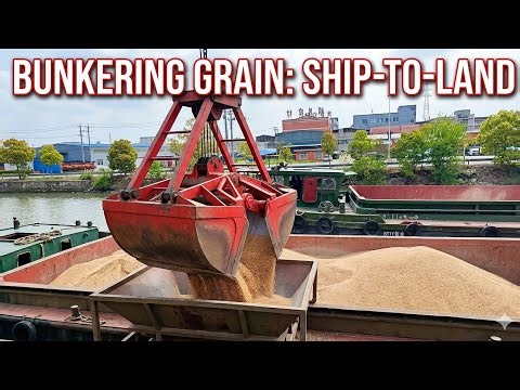 LIVE: Industrial Grain Offloading | Ship-to-Shore Logistics 🏗️🚢