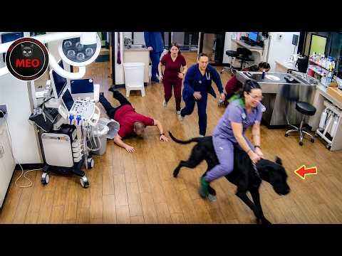 Moments When Things Went Wrong | Idiots at Work & Instant Regret Fails Compilation
