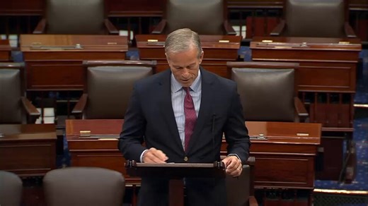 Border security and immigration enforcement are crucial functions of government. They are essential to maintaining public safety.Democrats have opted not to fund them. At all.