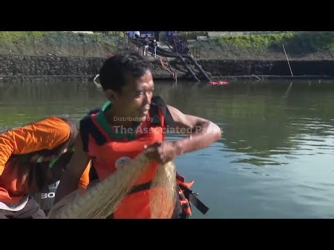 Explosion of invasive 'janitor fish' sparks mass removal operation in Indonesia's capital