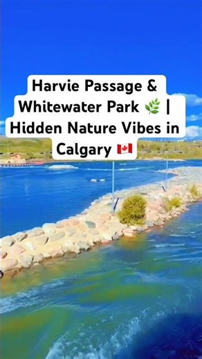 Harvie Passage & Whitewater Park 🌿Hidden Nature Vibes in Calgary 🇨🇦 #ytshorts #peacefulvibes#