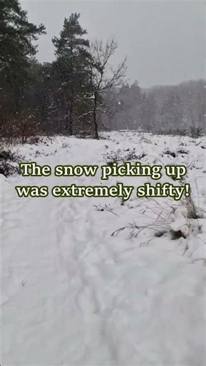 Snow in my Therian Territory! Felt very shifty! #therian #therianthropy #alterhuman #therianshift