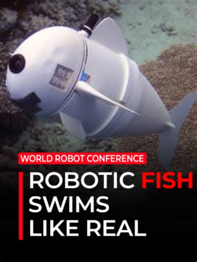 Bionic Robotic Fish Wows Visitors at Beijing’s World Robot Conference | Asia One News A bionic robotic fish is on display at the 2026 World Robot Conference being held in Beijing. The robotic fish, which closely resembles a real fish, weighs about two kilograms and has a single-charge endurance of over five hours. Embedded in its mouth is an infrared recognition module that allows the fish to avoid obstacles such as aquatic plants and rocks while moving underwater. #Asiaone #AsiaOneNews #China #