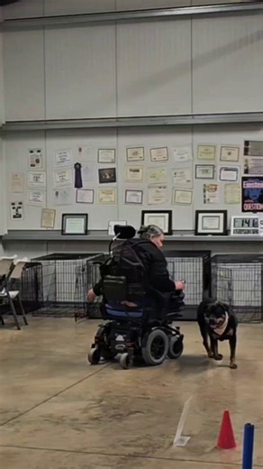 I'm Chesnyy—CKC high-point Rottweiler in rally obedience for the last two years. 🏆🐾But last season was ruff. Static from the wheelchair tires caused shocks when I heeled, and twice the floor mats caught in the castors and the entire floor started to chase me...I started getting suspicious any time we went in a ring. It didn't feel fun anymore. And there were a lot of other life changes last year so we were already dealing with stress. And trust me, us dogs can smell human stress a mile away an