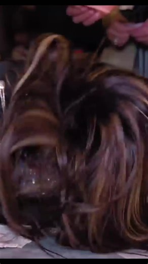 Chadh Gai: A Pashto Musical Journey by Disha Raani