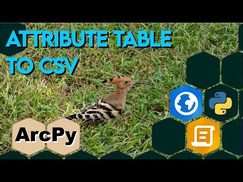 ArcPy Export Attribute Table to CSV | Python for ArcGIS Pro