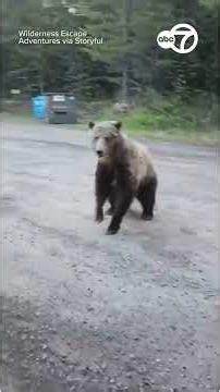 Frighteningly Close Encounter With Grizzly Bear While Walking Her Dog