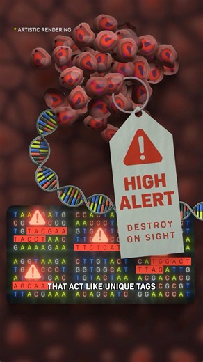 They Created A Skin Cancer Vaccine
