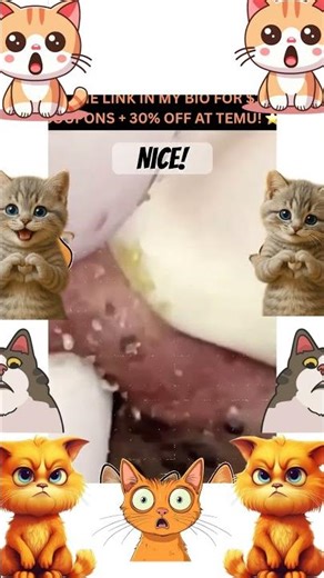 Tag a friend that would enjoy this 😜