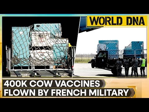 Lumpy Skin Disease: French Army Plane Delivers 400,000 Cattle Vaccines | WION World DNA