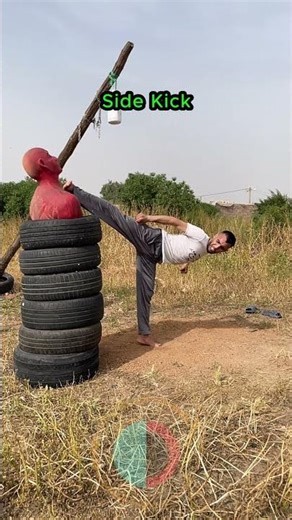 Front And Side Kick #trendingshorts #trending #training #reels #kungfu #chess #funny #fitness #mma
