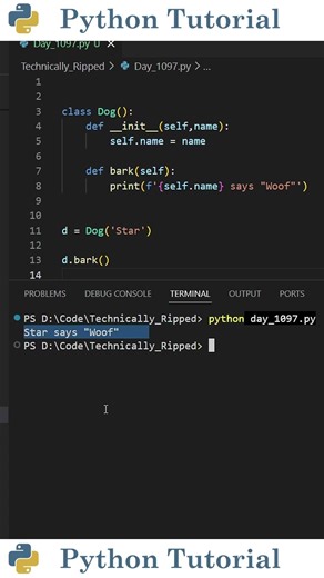 Python Property Decorator Tutorial | Python Tutorial