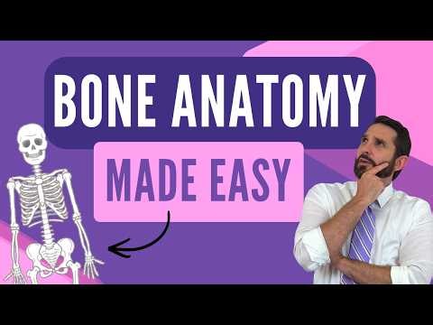 Bones Made Easy: Anatomy of Bones of the Body (with Memory Tricks) Comprehensive
