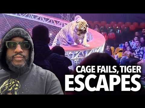 Cage Fails At Circus and a Tiger Jumps Into the Crowd At a Circus... The People Tried Not To Panic