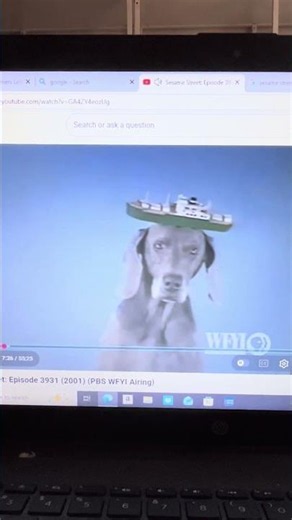Sesame Street Wegman Dogs Form The Letter B And Balanced A Boat Scene