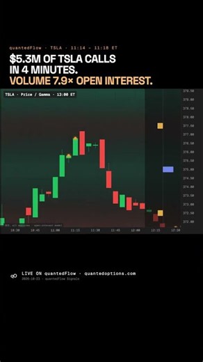 TSLA Unusual Options Flow — Oct 23 | $5.3M of TSLA calls in 4 minutes.