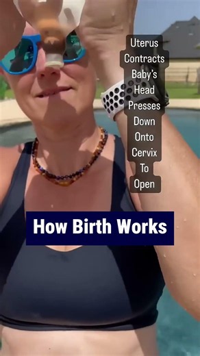 What the Uterus does during birth