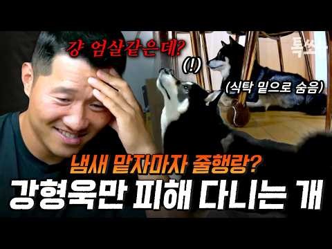 살벌한 입질의 반전은 100% 엄살?! 예리한 눈썰미에 강형욱만 피해 다니는 개 | #개와늑대의시간 5회