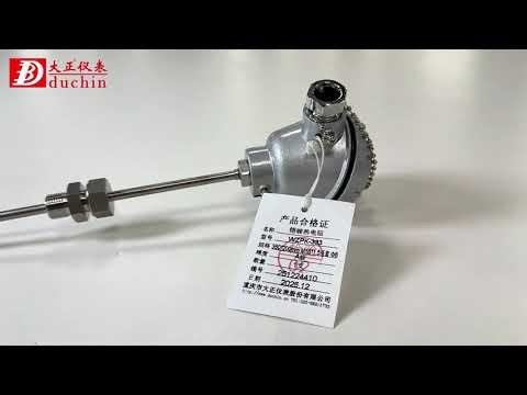 Armored thermocouple