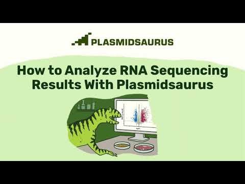 How to Analyze RNA Sequencing Results With Plasmidsaurus | Tutorial