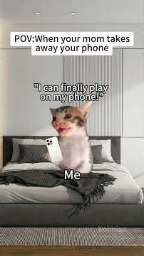 CAT MEMES🐱When your mom takes away your phone #catmemes #memes #funnymemes #funny #relationship