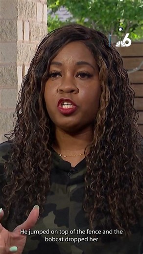 Bobcat attacks pet dog, moment caught on camera