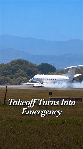 Tanzania Safari Plane Hits Zebra on Takeoff, Makes Emergency Belly Landing at Kilimanjaro