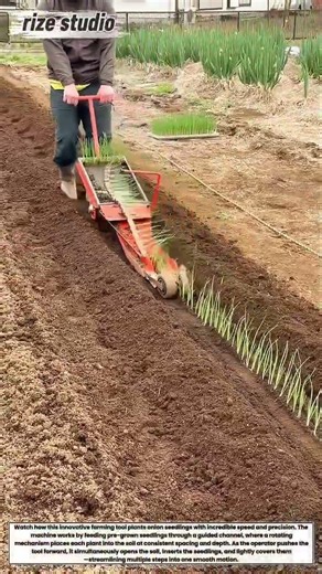 Smart Onion Planting Machine in Action – Satisfying Farming Technology You Must See!