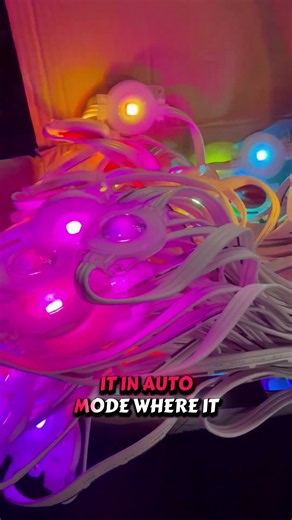 Permanent Christmas lights eliminate the yearly hassle of putting up and taking down holiday lights