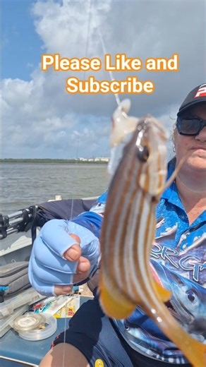 Our first Fish of the Year 2026 #fishing #fish