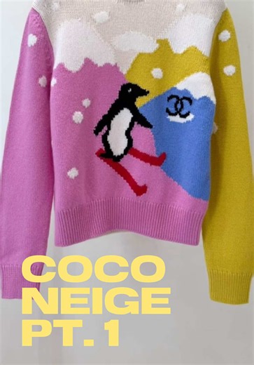 Chanel Coco Neige: The Sigh-Worthy Bag by Matthieu Blazy? 🥲