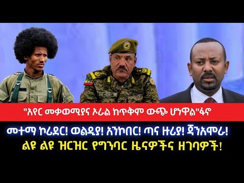 "አየር መቃወሚያና ኦራል ከጥቅም ውጭ ሆነዋል"ፋኖመተማ ኮሪደር! ወልዲያ! አንኮበር! ጣና ዙሪያ! ጃንአሞራ!ልዩ ልዩ ዝርዝር የግንባር ዜናዎችና ዘገባዎች!