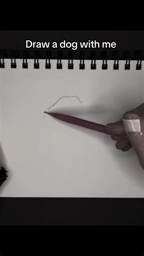 How to Draw a Dog Step by Step