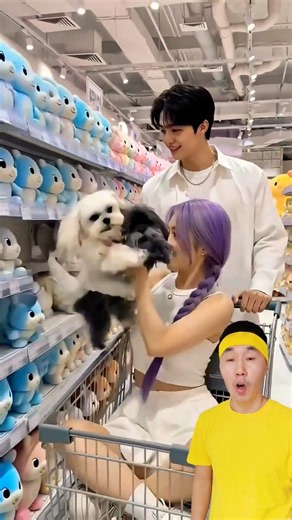 I want to go to a store like this for cute dogs.🤩🥰😍🐶